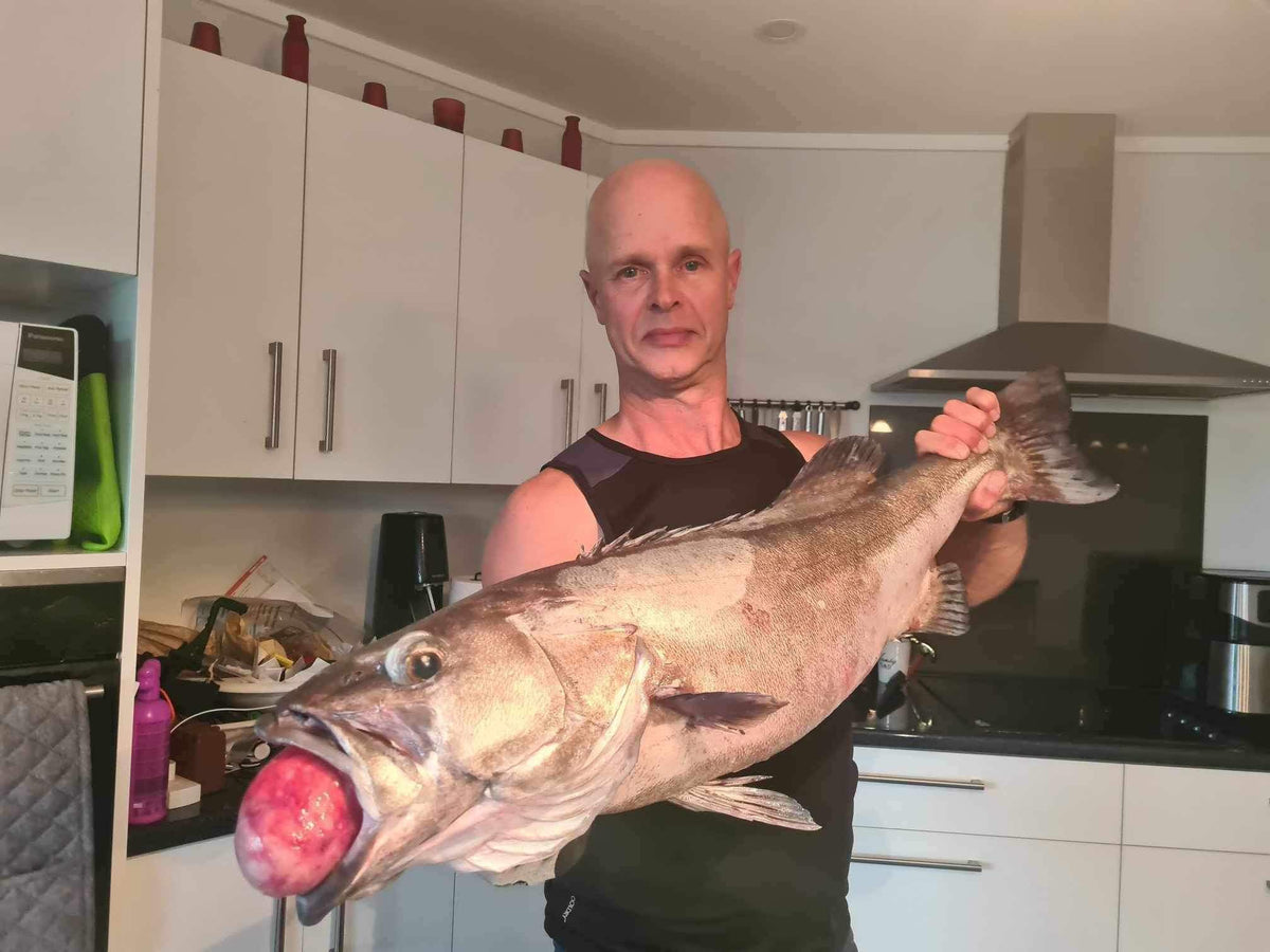 Cook's Snapper Catcher - Fluorescent Flasher Rig | NZ Made