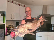 Load image into Gallery viewer, Cook's Snapper Catcher - Fluorescent Flasher Rig | NZ Made
